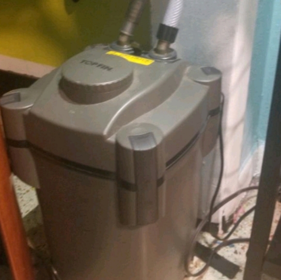 55 gallon fish tank - Picture 3 of 3